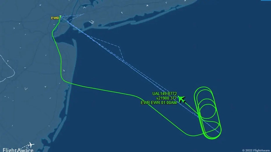 Flight Aware United flight screenshot