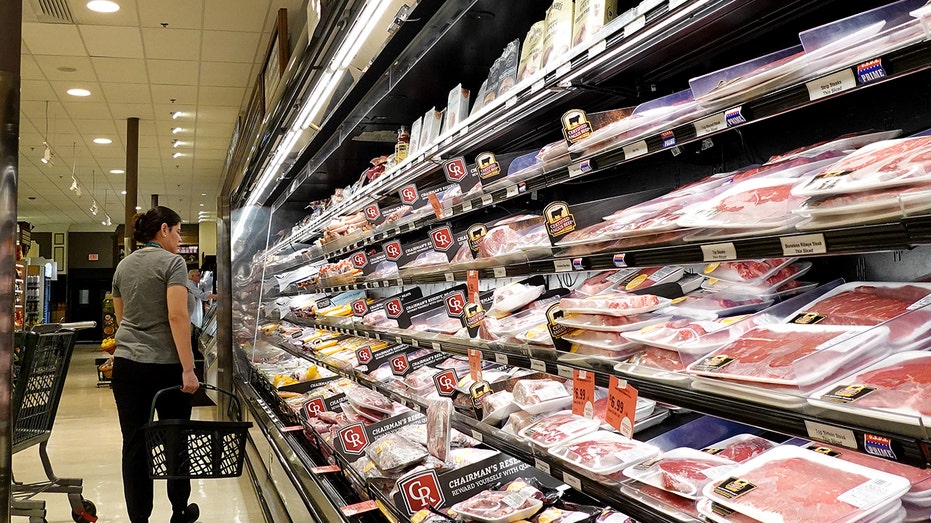 A lady shopping at the grocery store