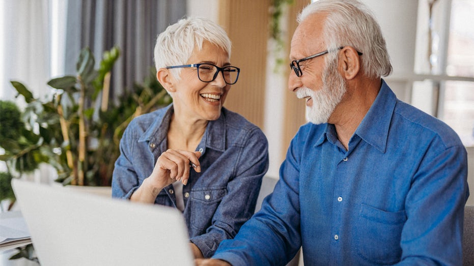 senior couple at a computer