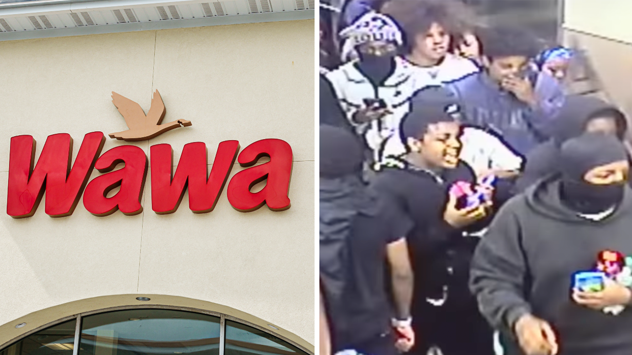 Philadelphia chain Wawa 'seriously considering' halting expansion after