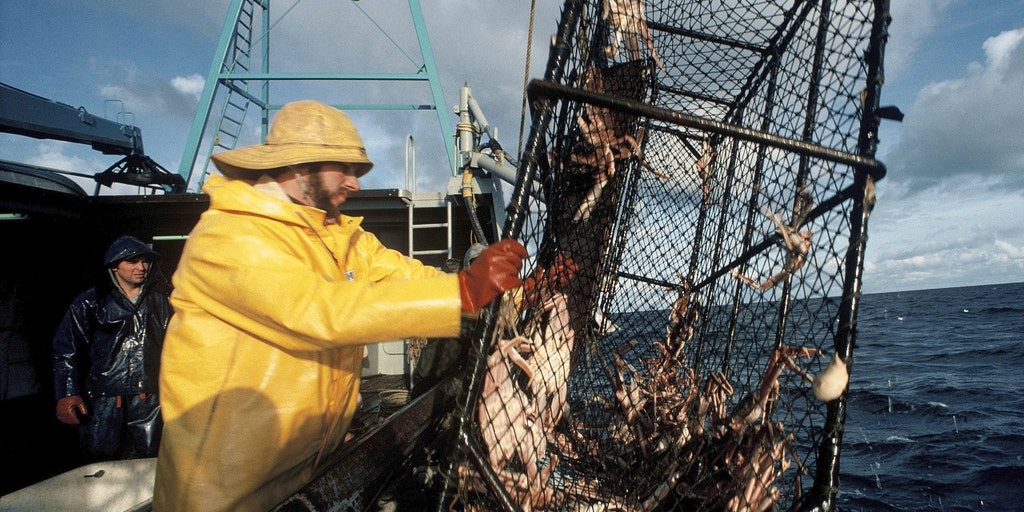 Alaska crabbers rip conservation decision to cancel over $200M harvest:  'Unbelievable