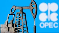 OPEC+ meeting may consider output cut this week: report