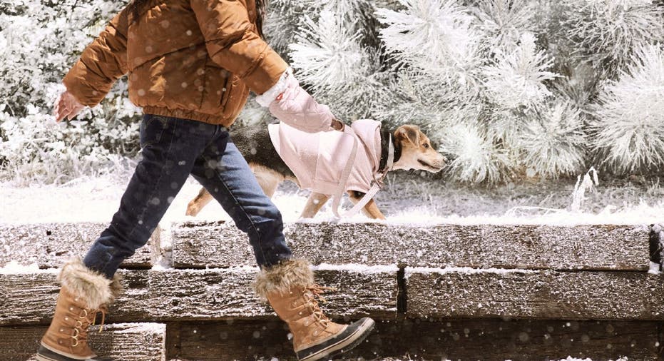 Pet owner walks with coat-wearing dog.