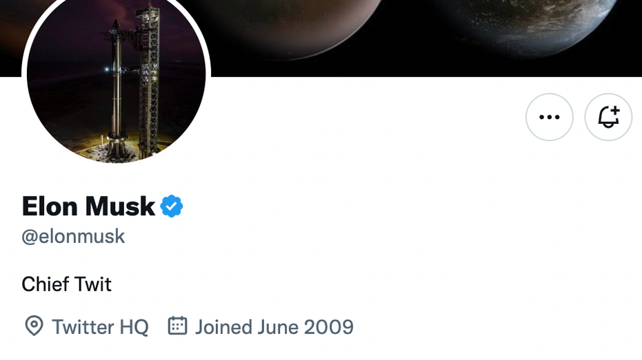 Musk profile bio