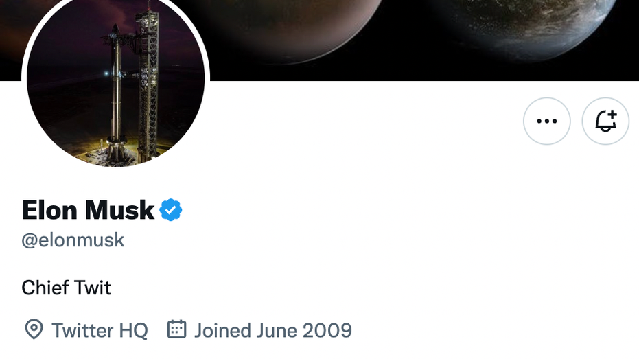 Musk profile bio