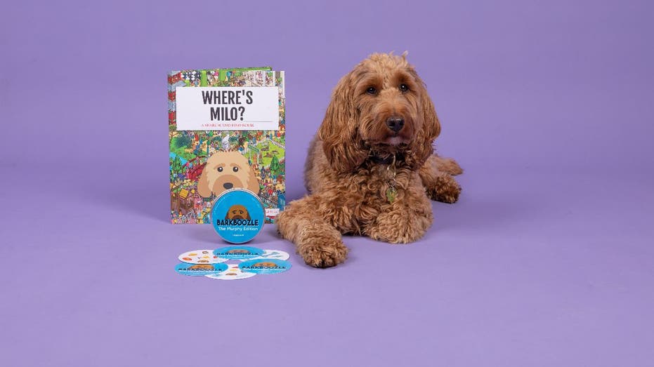 Dog named Milo with personalized book