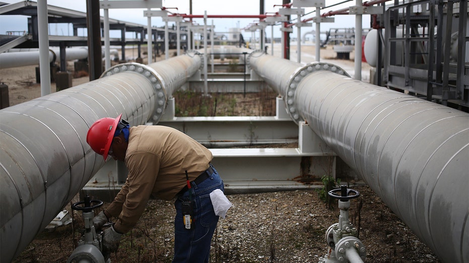 US Strategic Petroleum Reserve facility in Freeport, Texas is seen in 2016