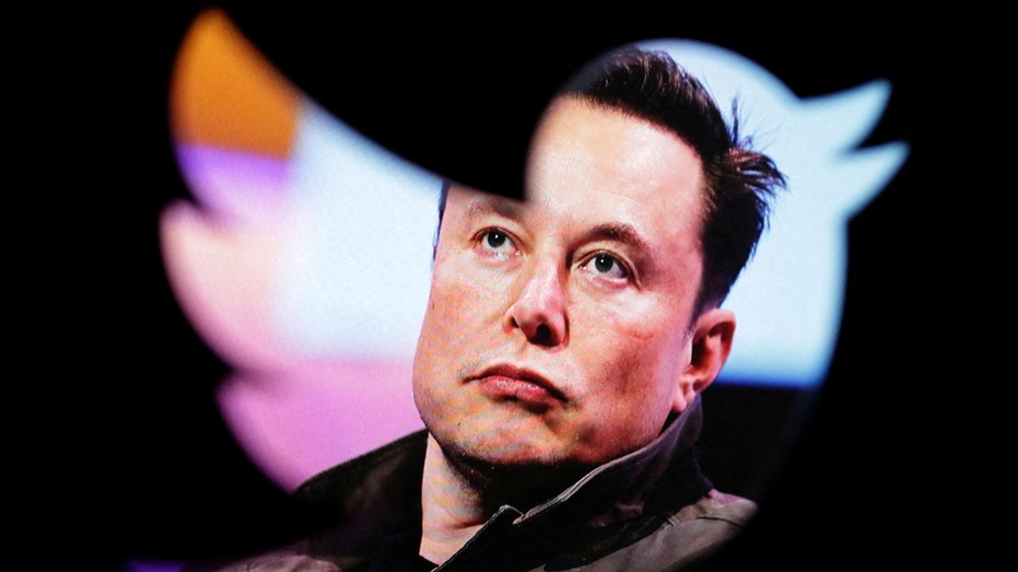 Elon Musk behind the current Twitter bird logo