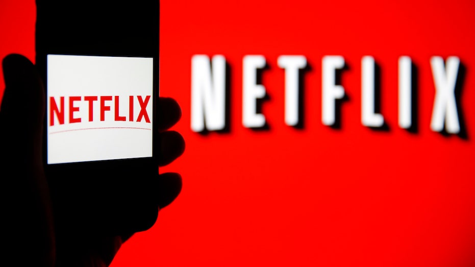 Netflix logo on computer monitor, Netflix-Logo auf Computermonitor