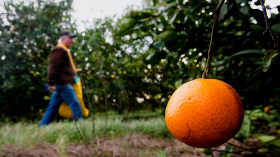 Orange