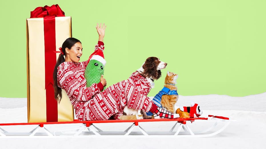 Pet owner in holiday onesie holding stuffed doll while she sits next to dog, cat and guinea pig.
