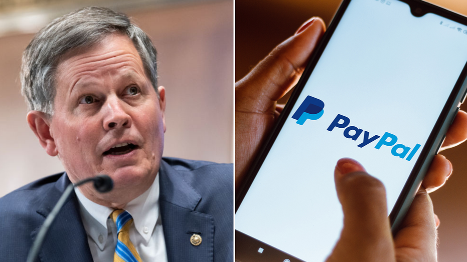 Steve Daines PayPal app