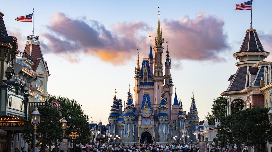 Magic Kingdom castle