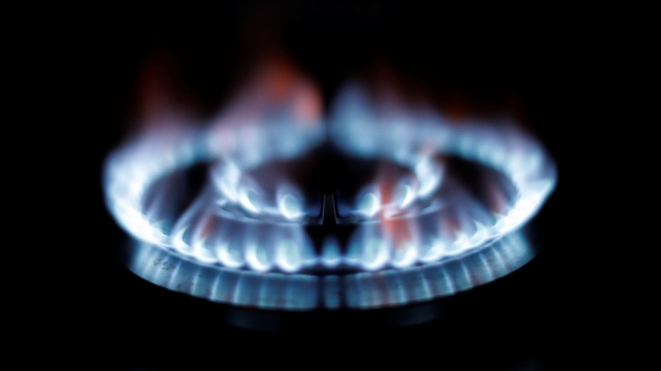 La prohibición de las estufas de gas «sobre la mesa» para la agencia federal: informes