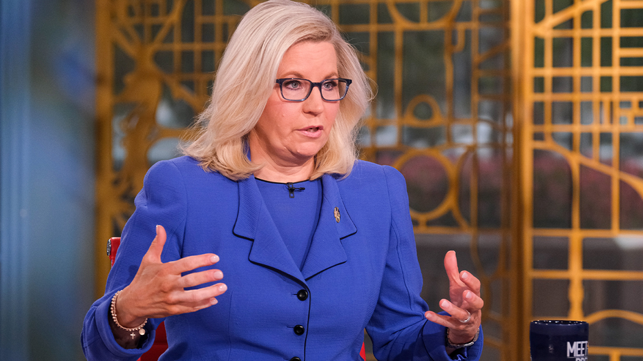 Rep. Liz Cheney appears on "Meet the Press"