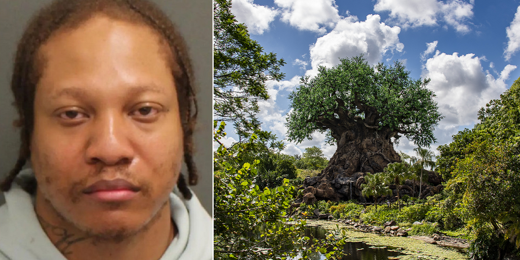 NYC fugitive arrested after being spotted by federal officer visiting Walt Disney World: report - Vimarsana News