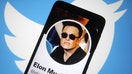 In this photo illustration, Twitter account of Elon Musk is