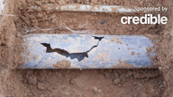 Does homeowners insurance provide sewer line coverage?