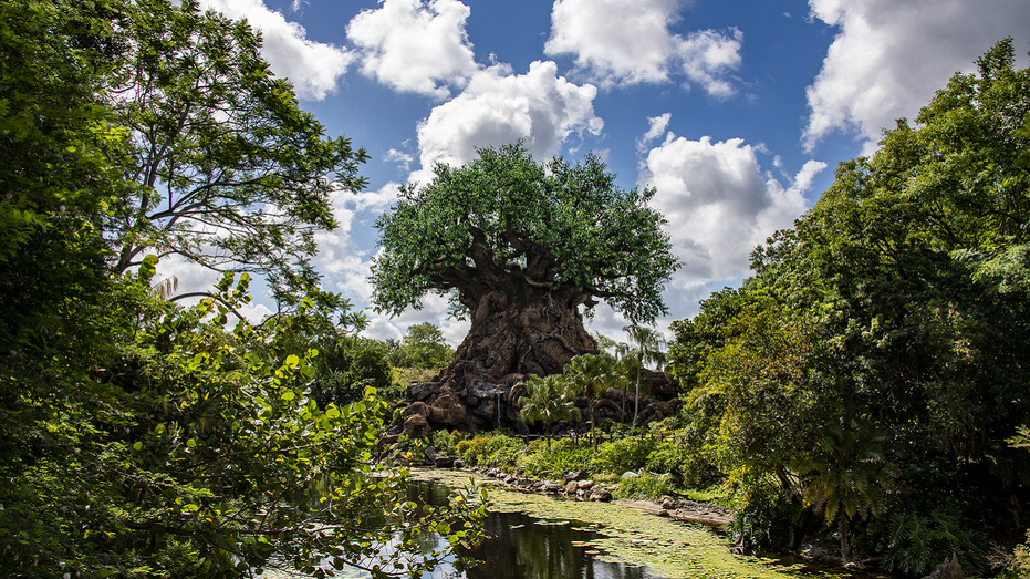 Animal Kingdom theme park Walt Disney World