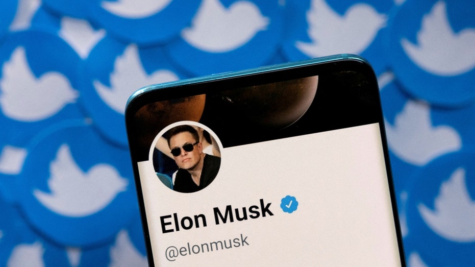 Elon Musk's Twitter profile