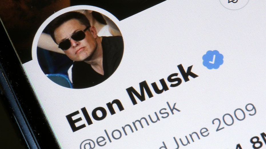 Elon Musk Twitter profile