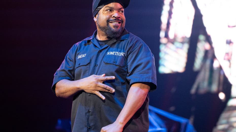 Ice Cube performs at concert