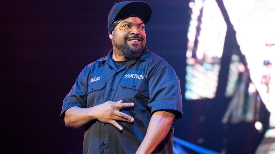 Ice Cube performs at concert