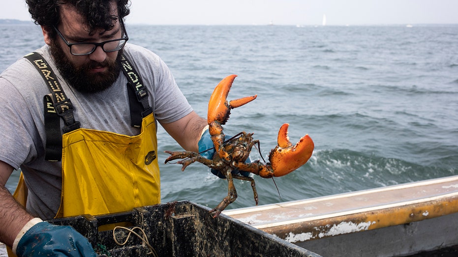 Man holds lobster on boat