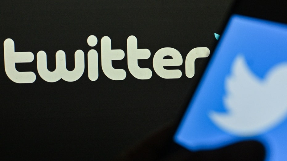 Twitter logo on a phone