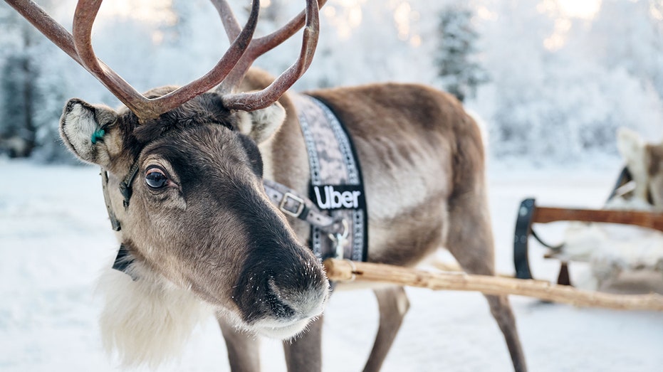 uber sleigh reindeer