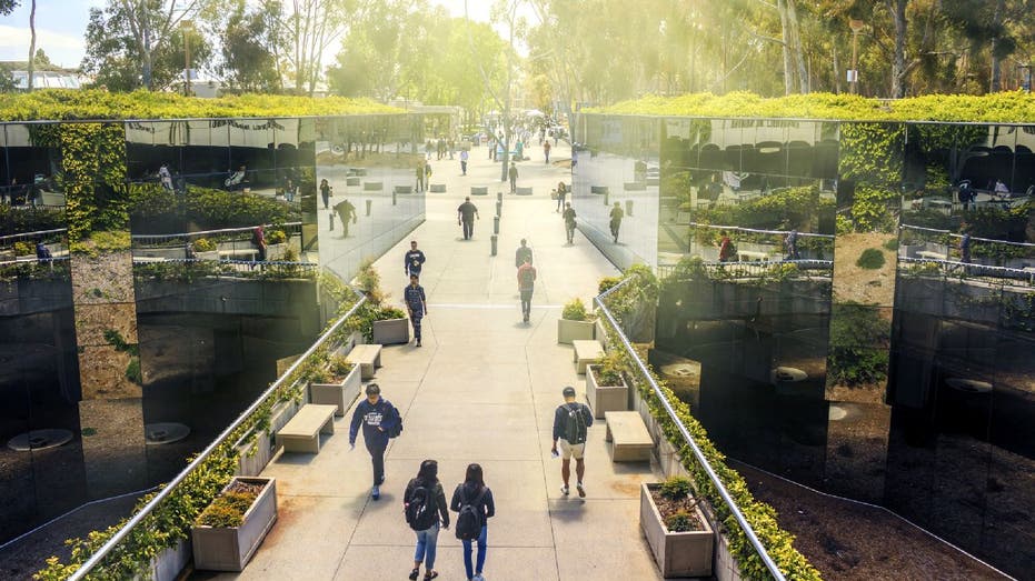 University of California San Diego students walking down path