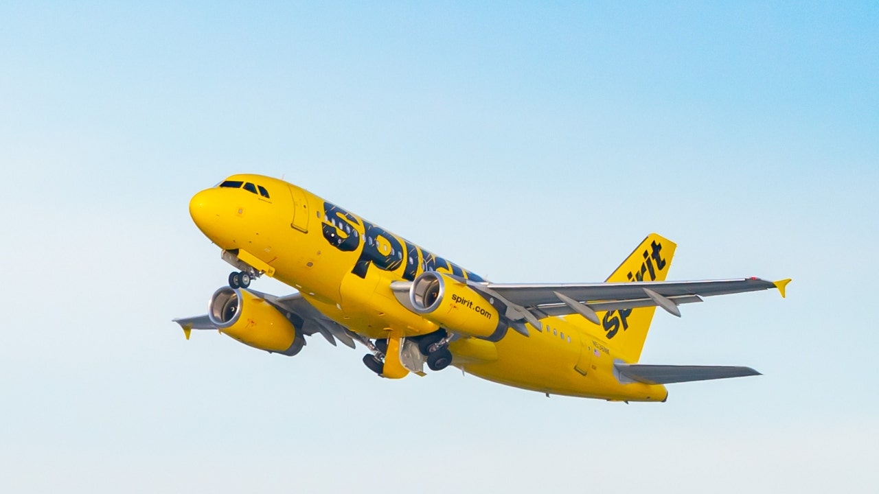 Spirit Airlines flight attendant fired because she was too overweight for jump seat, she claims in lawsuit