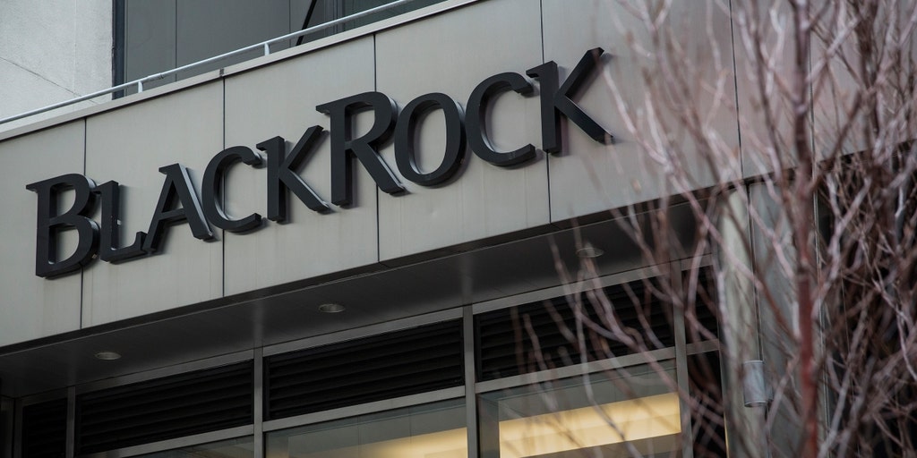 BlackRock sustainability chief Bodnar to join Bezos Earth Fund - memo - Vimarsana News