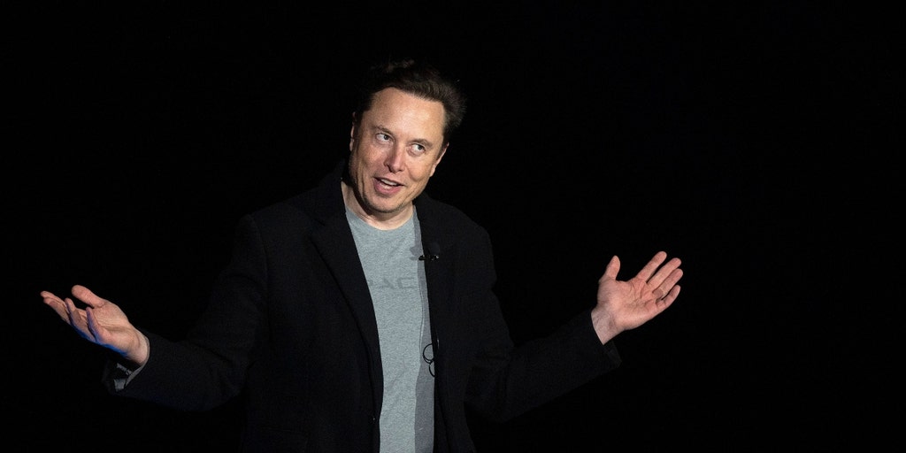 Third-largest Tesla stock owner says Elon Musk should step down as CEO - Vimarsana News