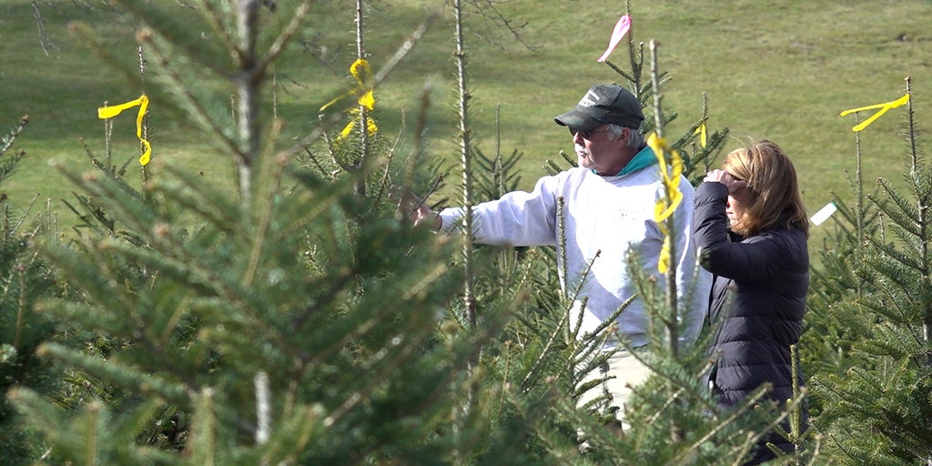 Steve-Watson-at-his-farm.jpg?ve=1&tl=1