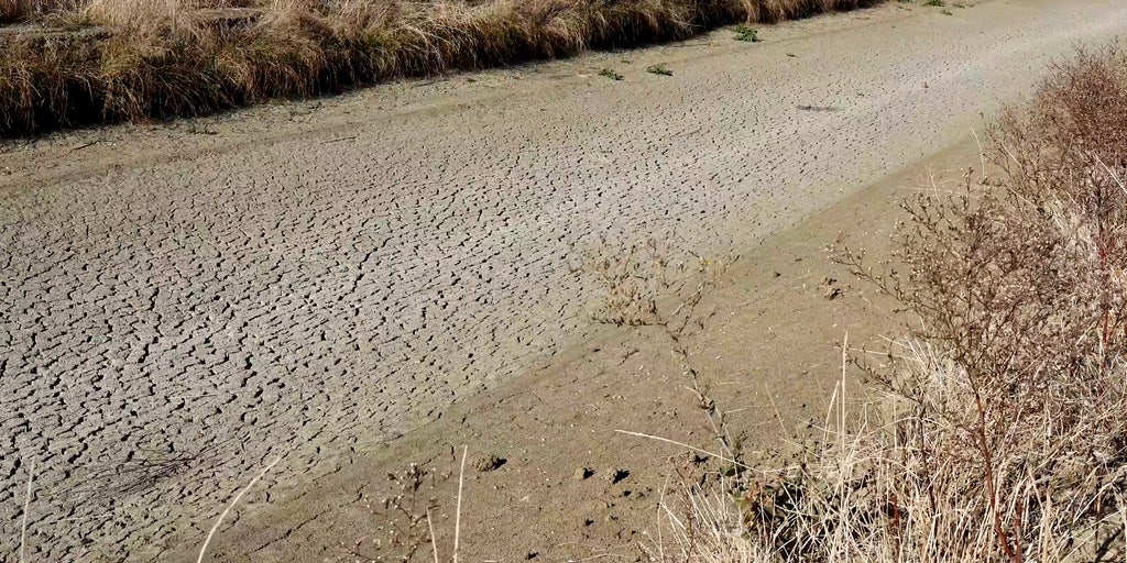 California's drought disaster is turning into an economic disaster: 'It's unprecedented' - Vimarsana News