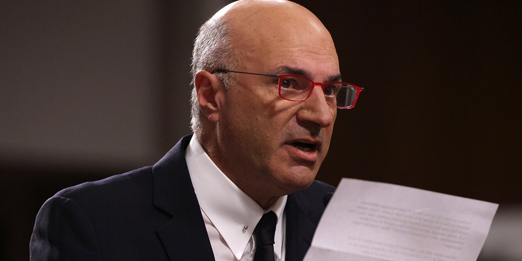 FTX paid spox Kevin O'Leary received $18M, previously called Bitcoin 'garbage' - Vimarsana News