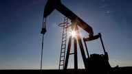 Goldman Sachs slashes oil price forecast