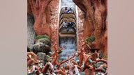 Disney's Splash Mountain ride water sells on eBay for thousands following closure of beloved ride