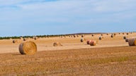 South Dakota Gov. Kristi Noem calls for crackdown on Chinese farmland purchases