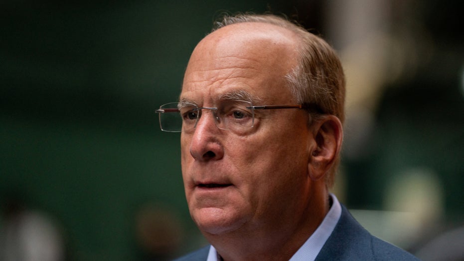 BlackRock CEO Larry Fink