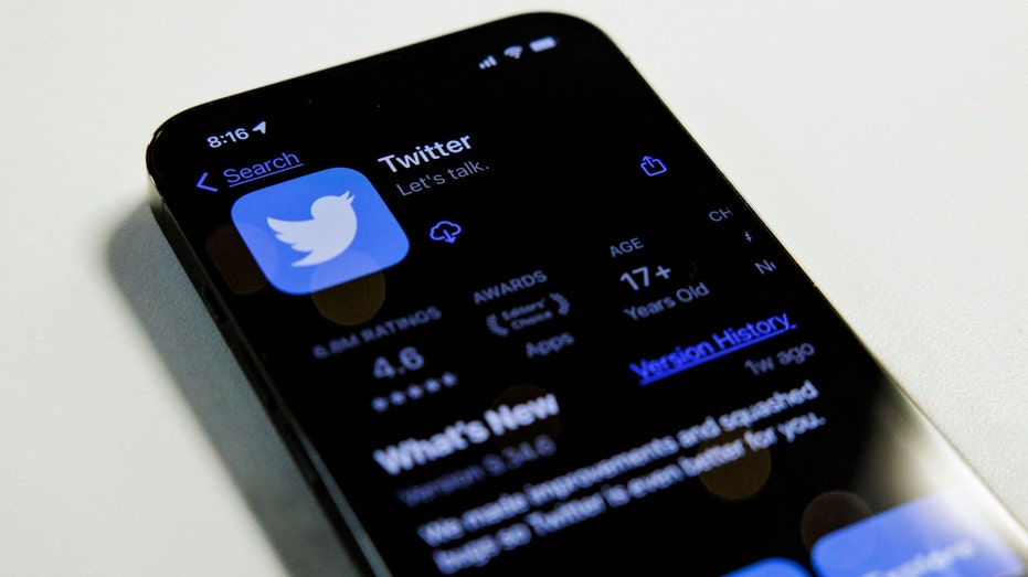 The Twitter app in the iPhone App Store