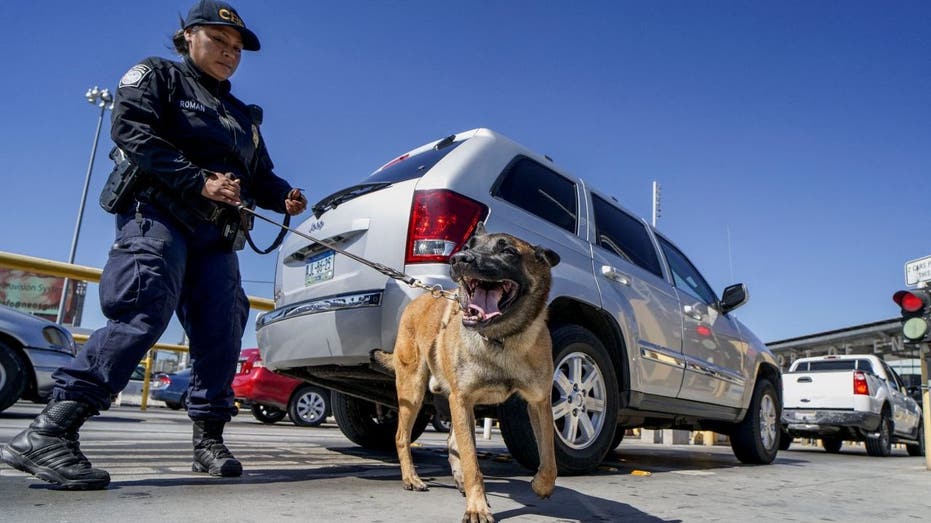 US Customs and Border Protection canine team