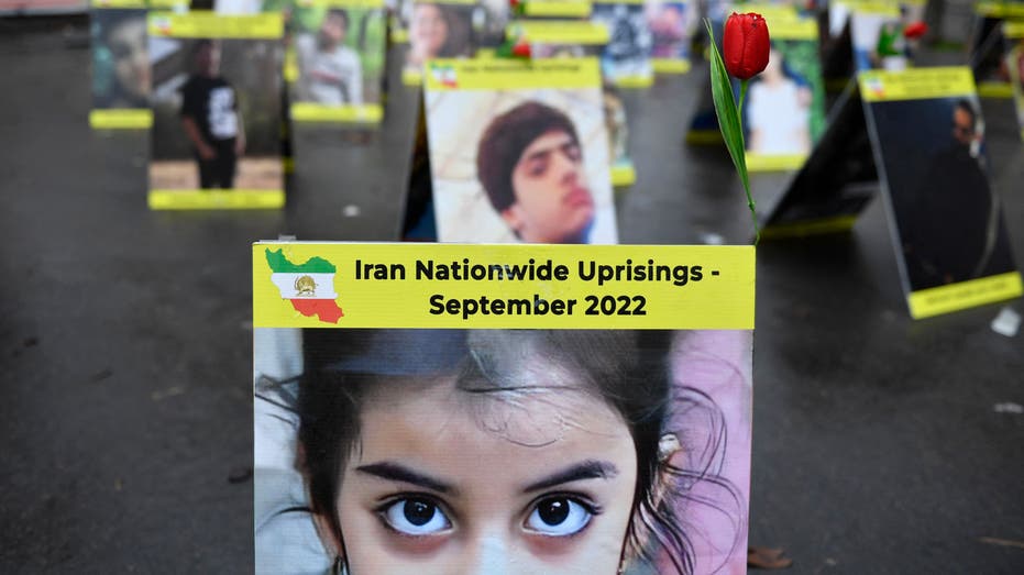     victims of Iran's crackdown