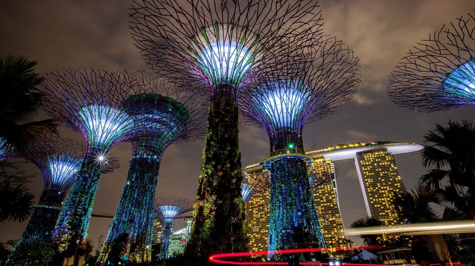 The Supertree Grove in Singapore