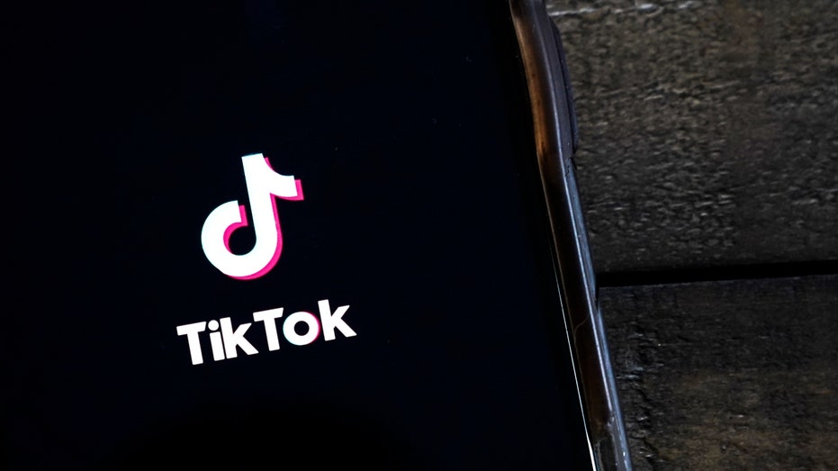 The TikTok app on a phone