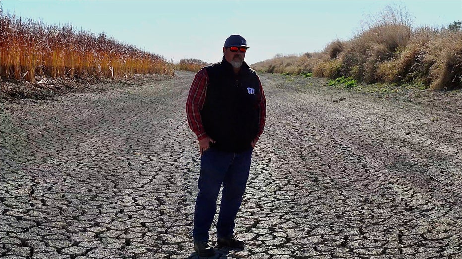 A rice farmer in California explains the drought impacts