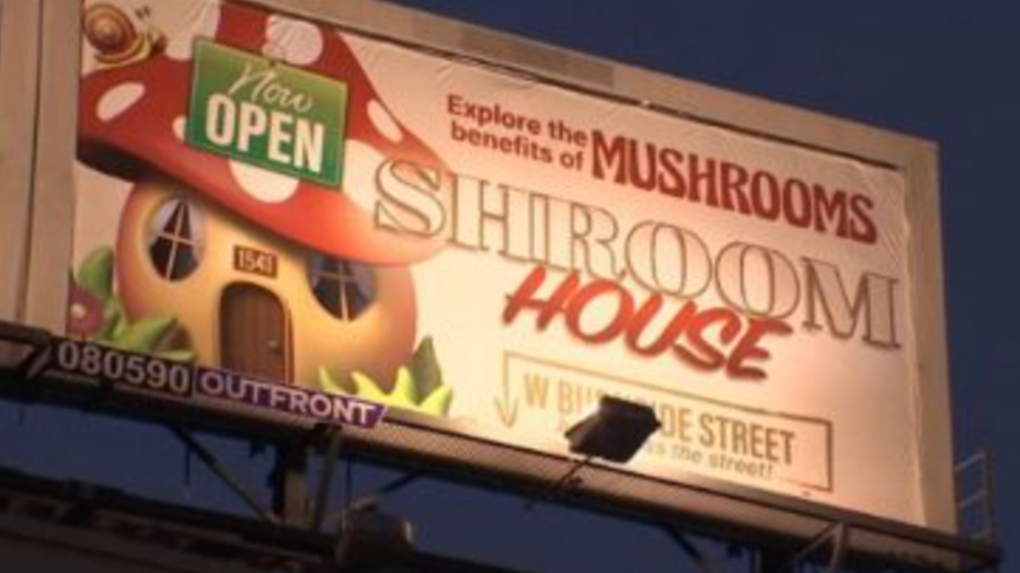 Portland billboard for Shroom House store