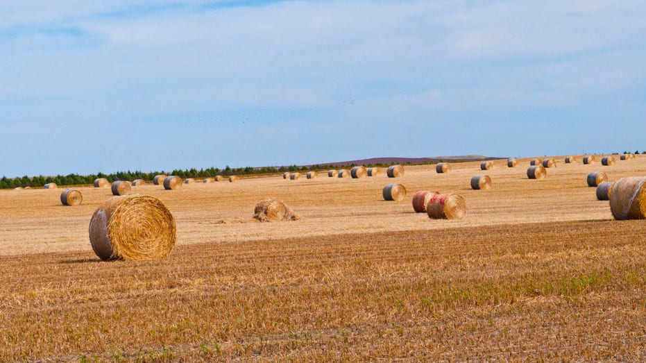 Farmland in Buffalo Gap, South Dakota