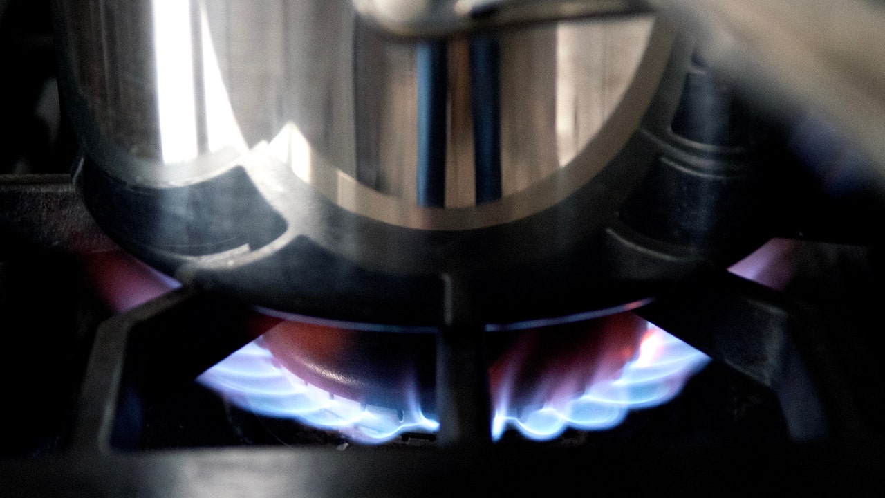 DOE rule may block 50% of current gas stove models - E&E News by